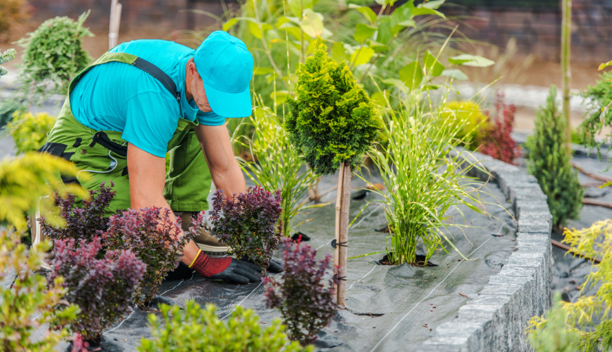 Arboricultural Services