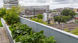 green roof system