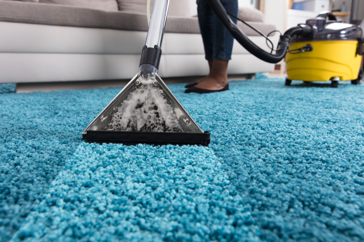 Carpet Cleaning Supplies Sydney Everything You Need to Keep Your Carpets Spotless